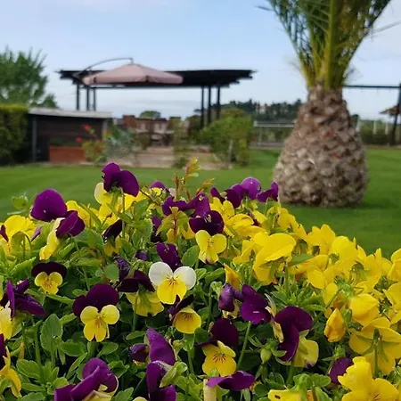 Agriturismo Diaccia Botrona Castiglione della Pescaia Exterior foto